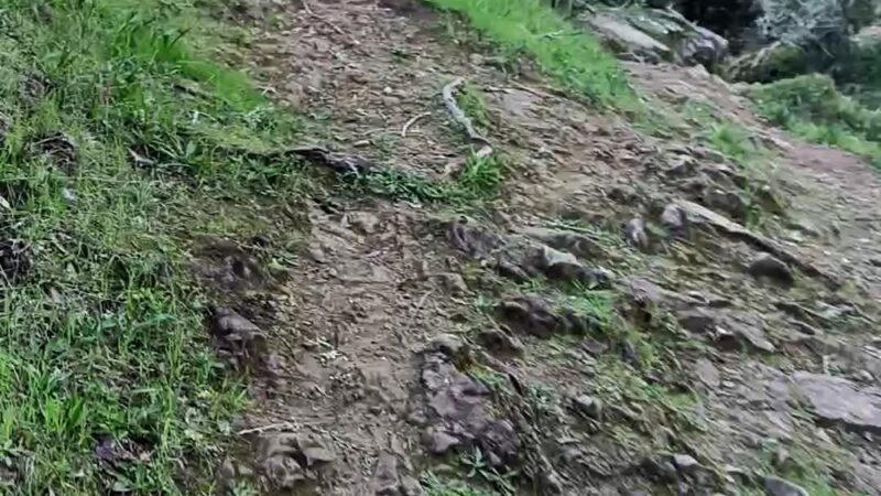 Indian Valley Preserve Trailhead - Novato, CA