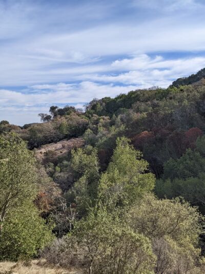 Indian Valley Preserve Trailhead - Novato, CA