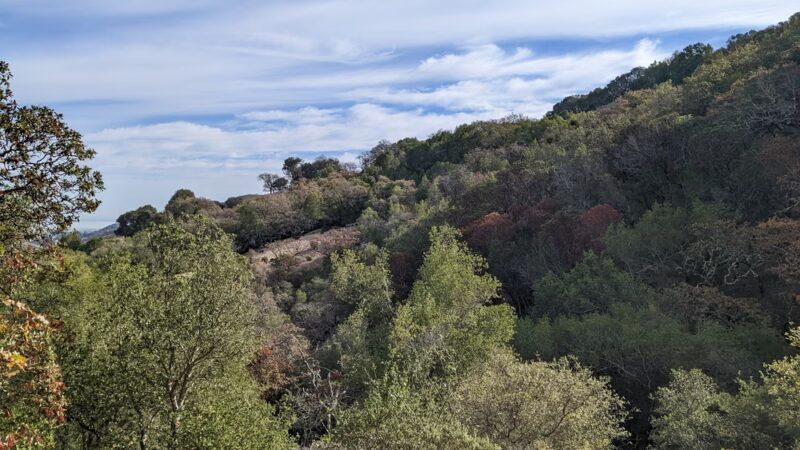 Indian Valley Preserve Trailhead - Novato, CA