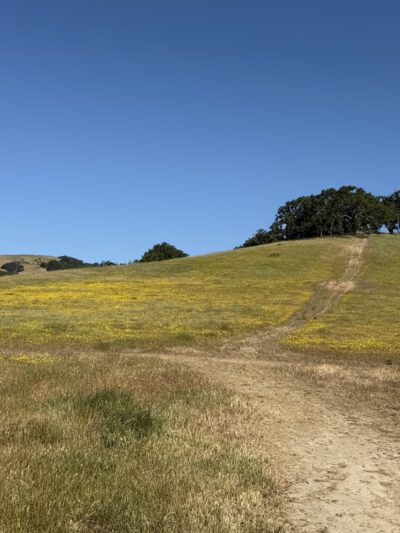 Mt. Burdell Open Space Preserve - Novato, CA