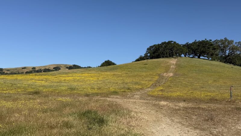 Mt. Burdell Open Space Preserve - Novato, CA