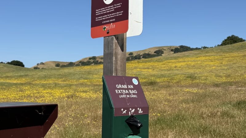 Mt. Burdell Open Space Preserve - Novato, CA