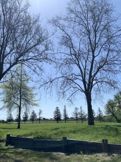 Slade Park - Novato, CA