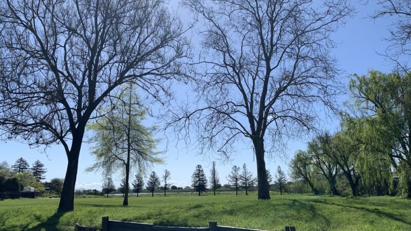 Slade Park - Novato, CA