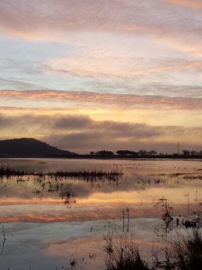 Slade Park - Novato, CA