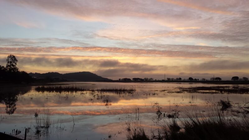 Slade Park - Novato, CA