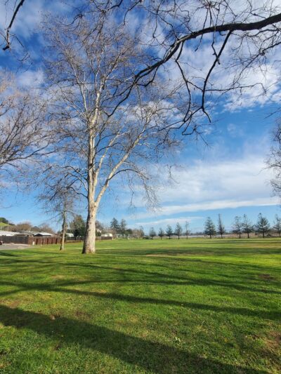 Slade Park - Novato, CA