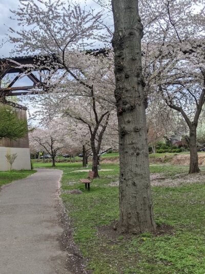 Memorial Park - Nutley, NJ