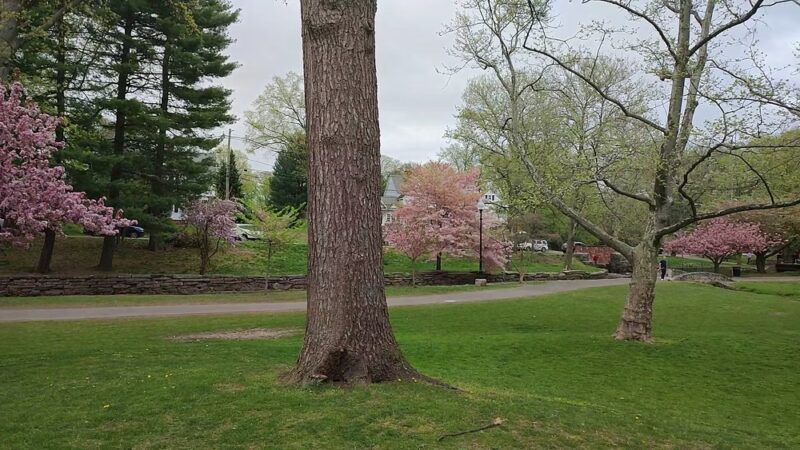 Memorial Park - Nutley, NJ