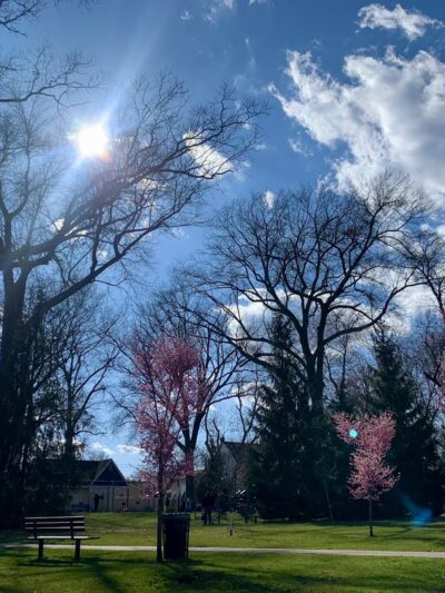 Nichols Park - Nutley, NJ