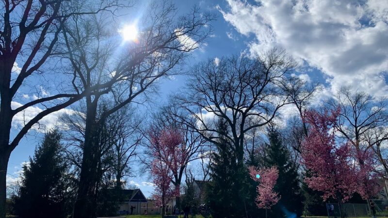 Nichols Park - Nutley, NJ