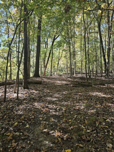Mountainview Nature Park - Nyack, NY