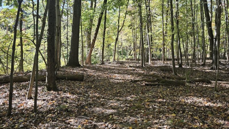 Mountainview Nature Park - Nyack, NY