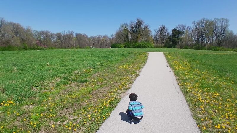 Engelmann Farm Park - O'Fallon, IL