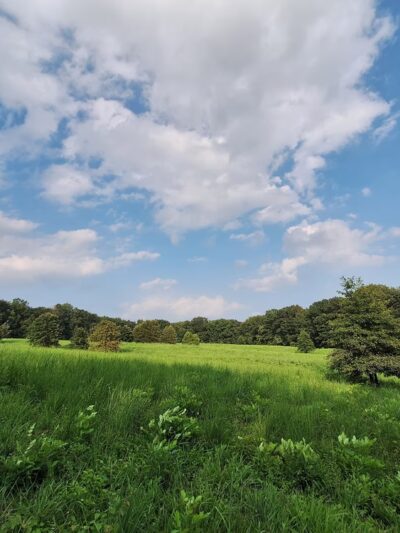 Rock Springs Park - O'Fallon, IL
