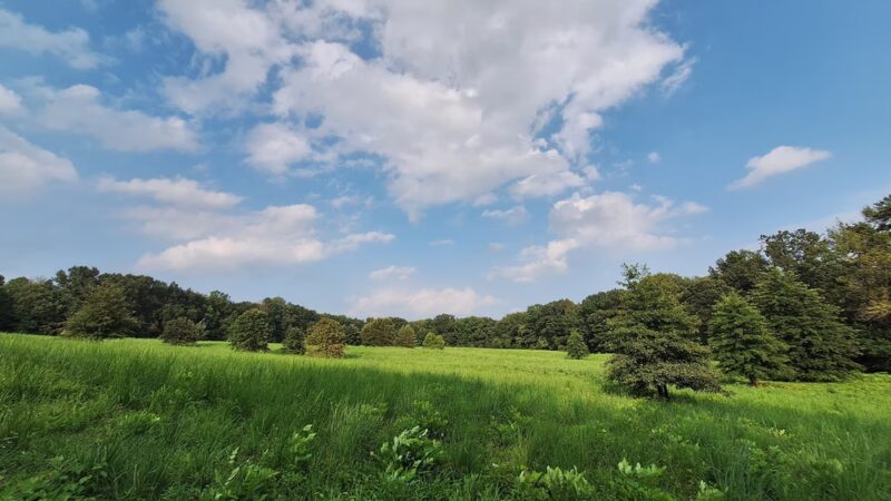 Rock Springs Park - O'Fallon, IL