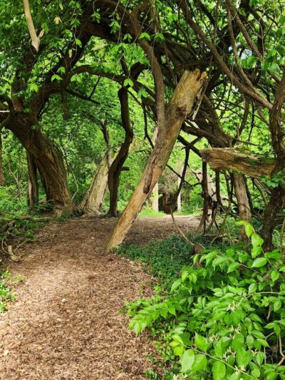Rock Springs Park - O'Fallon, IL
