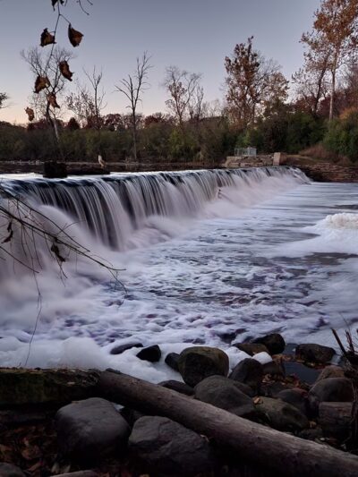 Fullersburg Woods Forest Preserve - Oak Brook, IL