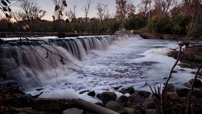 Fullersburg Woods Forest Preserve - Oak Brook, IL
