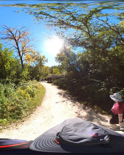 Fullersburg Woods Forest Preserve - Oak Brook, IL