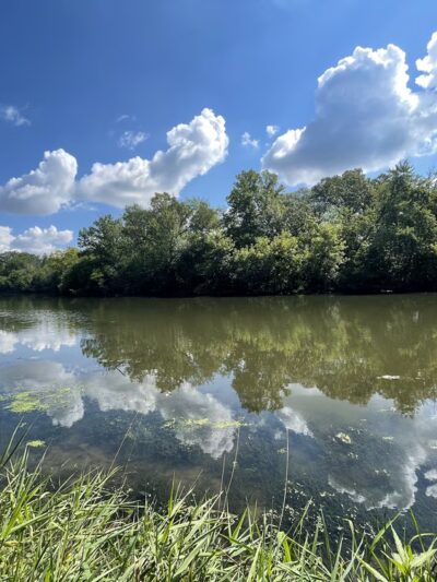 Fullersburg Woods Forest Preserve - Oak Brook, IL