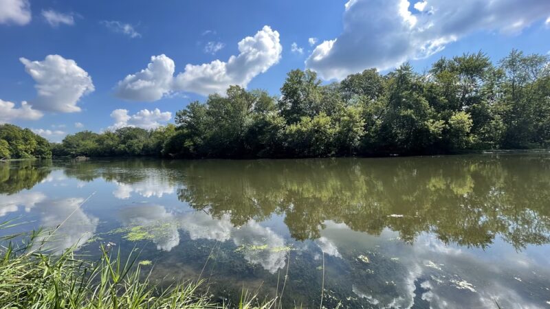 Fullersburg Woods Forest Preserve - Oak Brook, IL