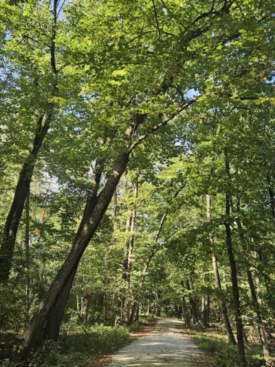 Fullersburg Woods Nature Education Center - Oak Brook, IL