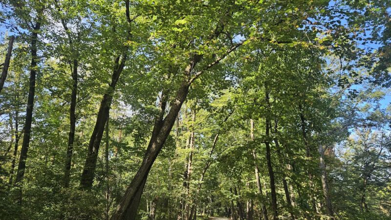 Fullersburg Woods Nature Education Center - Oak Brook, IL
