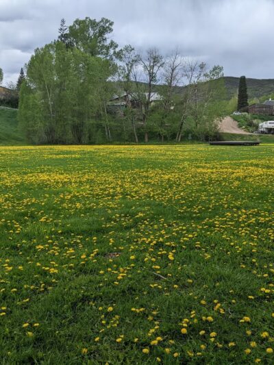 Decker Park - Oak Creek, CO