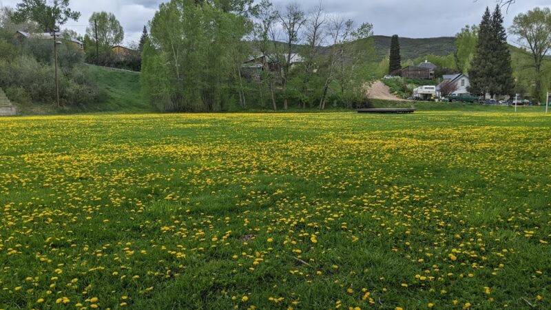 Decker Park - Oak Creek, CO