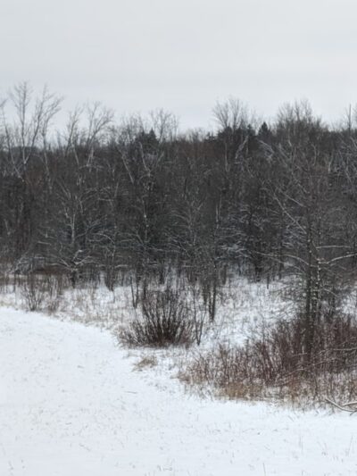 Oak Creek Parkway Park - Oak Creek, WI