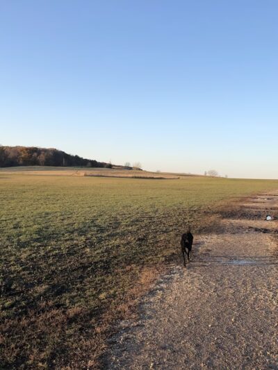 Runway Dog Park - Oak Creek, WI