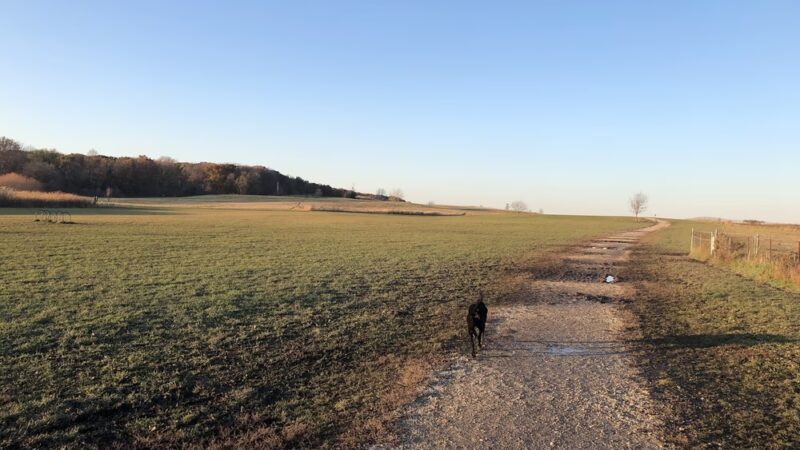 Runway Dog Park - Oak Creek, WI