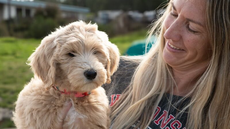 Clover Valley Park| NWPPRD Off-Leash Dog Park & Baseball Fields - Oak Harbor, WA