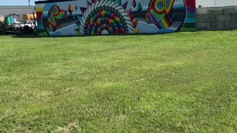 Oak Park & Bark - Dog Park (Membership required) - Oak Park, MI