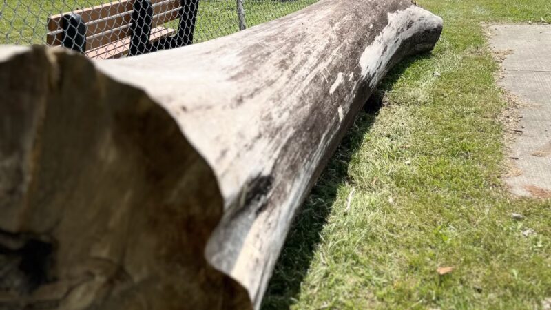 Oak Park & Bark - Dog Park (Membership required) - Oak Park, MI