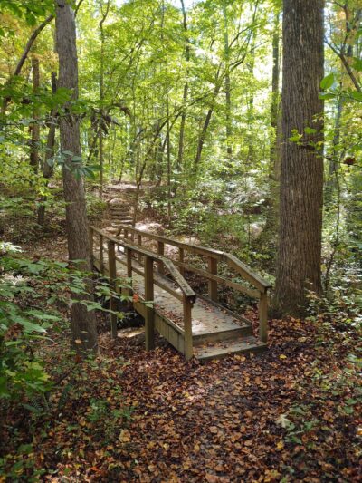 Oak Ridge Town Park - Oak Ridge, NC