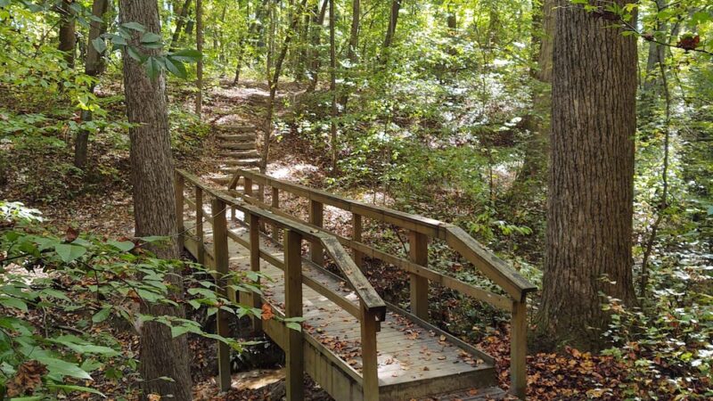 Oak Ridge Town Park - Oak Ridge, NC