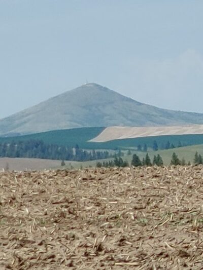Oakesdale City Park - Oakesdale, WA
