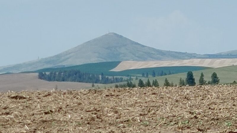 Oakesdale City Park - Oakesdale, WA