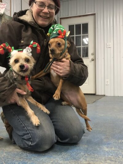 RnR Kennel & Klip LLC - Oakfield, ME