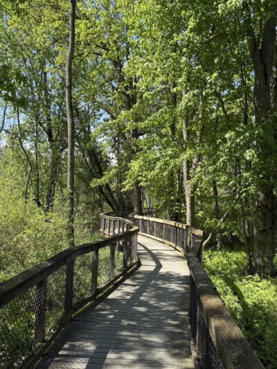 Swallow Hollow Trail - Oakfield, NY