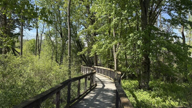 Swallow Hollow Trail - Oakfield, NY