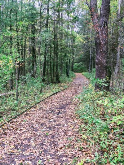 Swallow Hollow Trail - Oakfield, NY