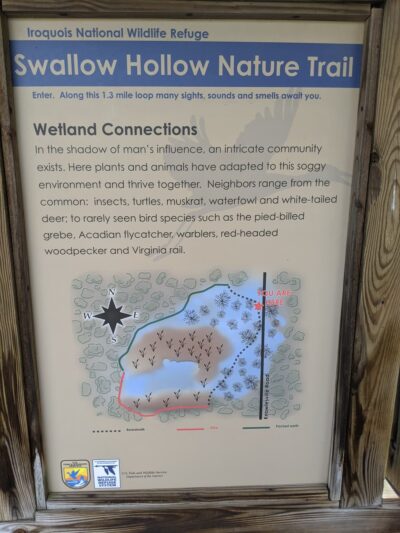 Swallow Hollow Trail - Oakfield, NY