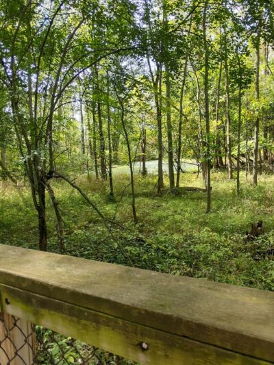 Swallow Hollow Trail - Oakfield, NY