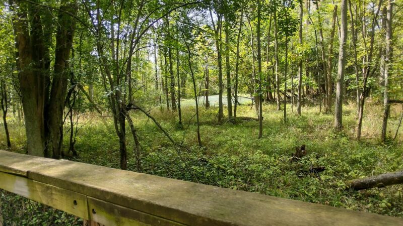 Swallow Hollow Trail - Oakfield, NY