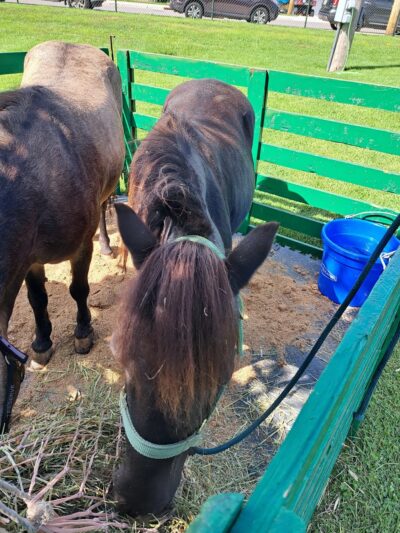 Oakfield Village Park - Oakfield, WI