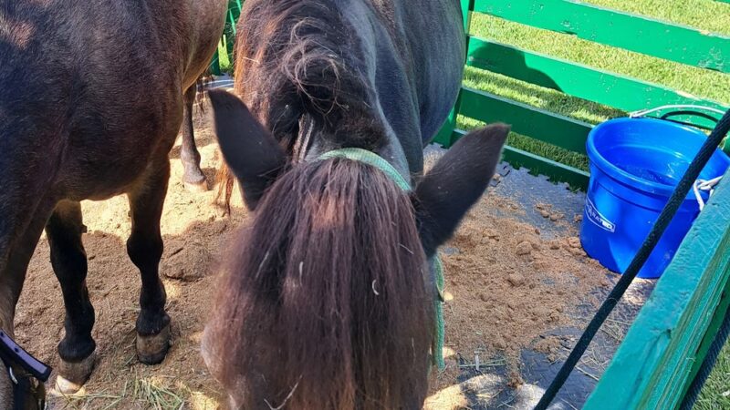 Oakfield Village Park - Oakfield, WI