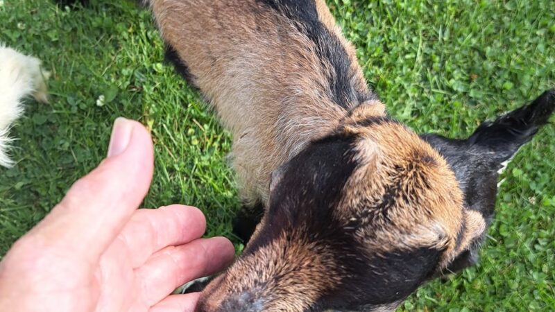 Oakfield Village Park - Oakfield, WI